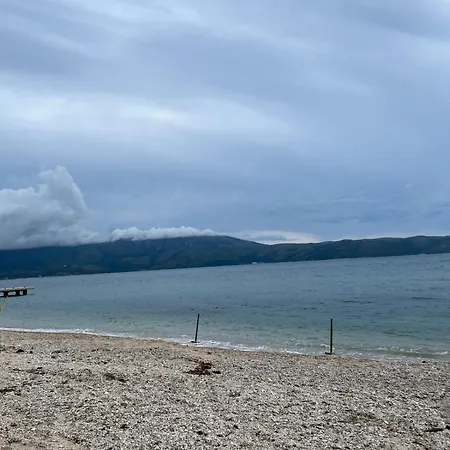 Ledio Vlorë